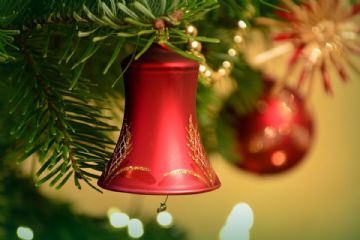 Accensione dell'albero di Natale